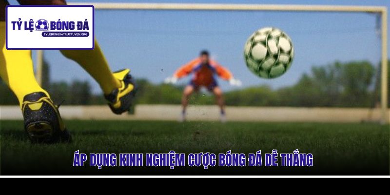 Áp dụng kinh nghiệm cược bóng đá dễ thắng
