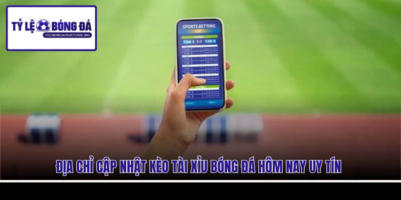 Địa chỉ cập nhật kèo Tài Xỉu bóng đá hôm nay uy tín