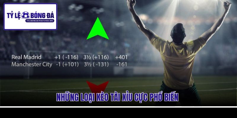 Những loại kèo tài xỉu cực phổ biến