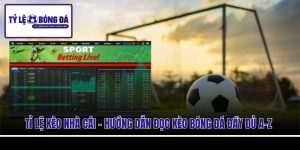 Tỉ Lệ Kèo Nhà Cái - Hướng Dẫn Đọc Kèo Bóng Đá Đầy Đủ A-Z