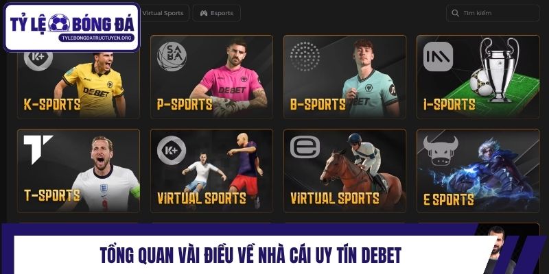 Tổng quan vài điều về nhà cái uy tín Debet